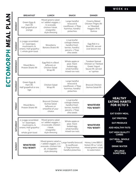 Ectomorph Meal Plan | VIGEO