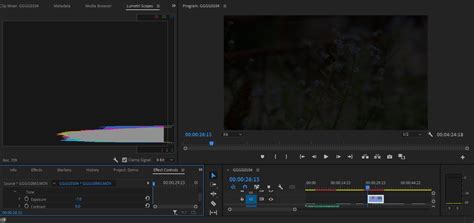 How to Read Lumetri Scopes in Adobe Premiere Pro