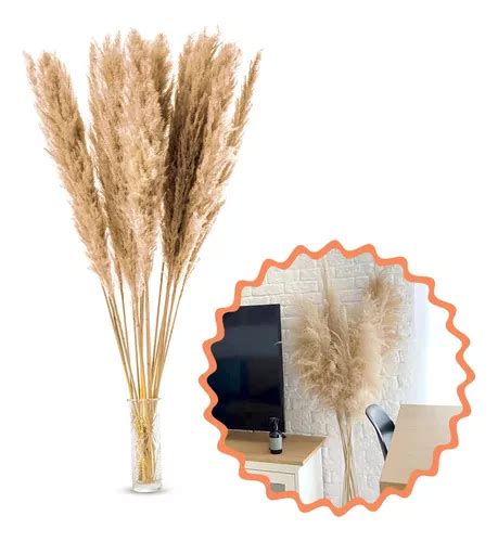 Capim Dos Pampas Decoração Seco Plumas Natural 5 Hastes MercadoLivre