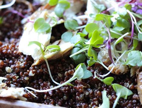 Mediterranean Quinoa | Heavenly Healthy Gourmet