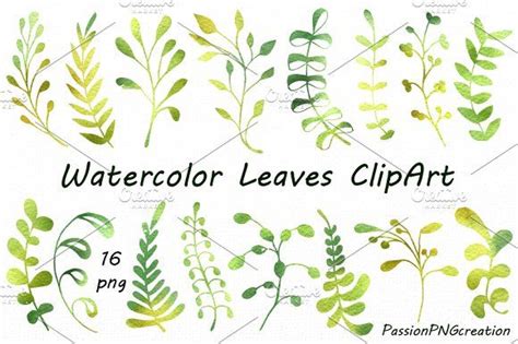 Watercolor leaves clipart | Watercolor leaves, Leaf clipart, Clip art