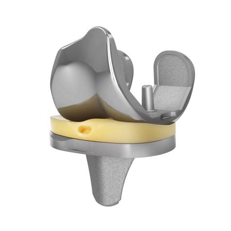 Three Compartment Knee Prosthesis Empowr D Enovis Fixed