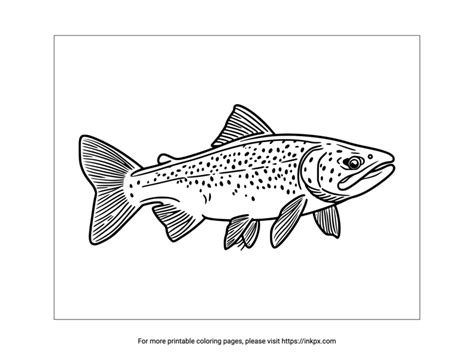 Printable Trout Coloring Page · Inkpx