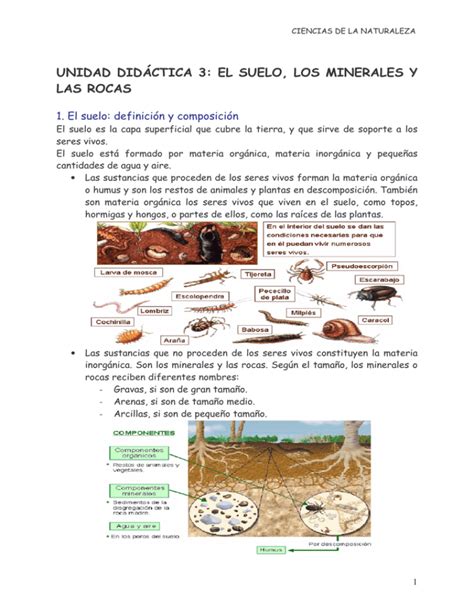 unidad didáctica 3 el suelo los minerales y las rocas