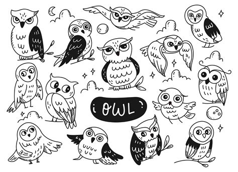 Set Of Cute Owl Doodle Line Art Graphic By Big Barn Doodles Creative