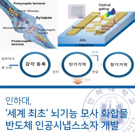 인하대 세계 최초 뇌기능 모사 화합물반도체 인공시냅스소자 개발 네이버 블로그