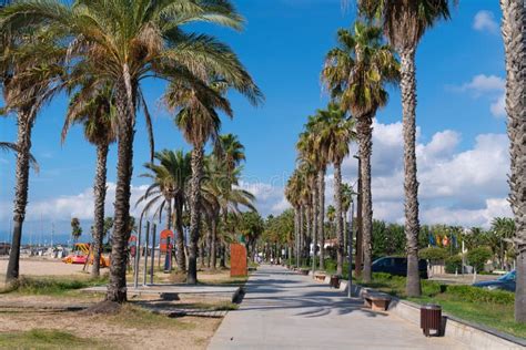 Salou Promenade With Palm Trees By The Beach Costa Dorada Catalonia