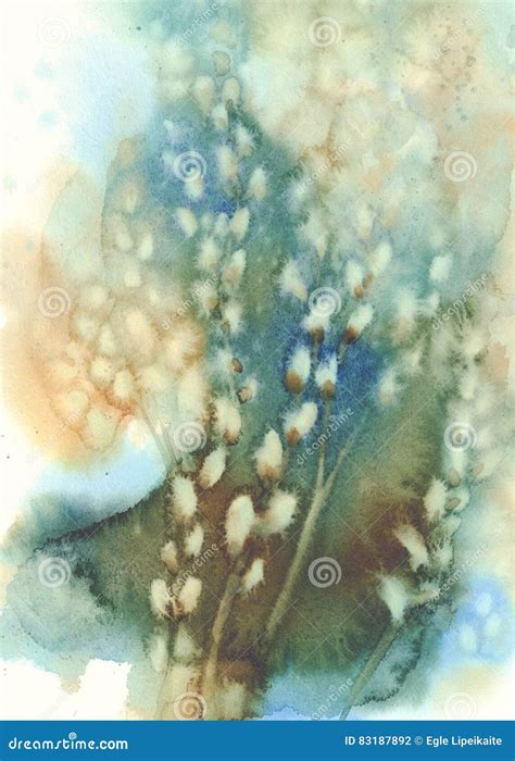 Pussy Willow Twigs Blue Watercolor Stock Illustration Illustration Of