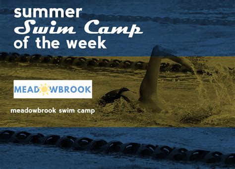 Featured Camp: Meadowbrook Competitive Swim Camp - Swimming World News