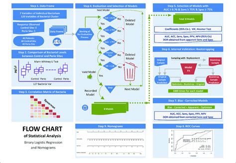 Flow Chart Of The Statistical Analysis Binary Logistic Regression