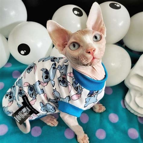 Shirts For Sphynx Cats Sphynx Cat Shirt Sphynx Shirt Cat In Clothes