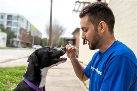 Volunteer - Friends For Life Animal Shelter