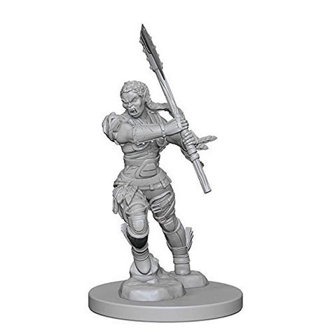 Half Orc Female Pathfinder