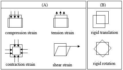 3 Types of simple strains (A) and no-strain changes (B). | Download ...