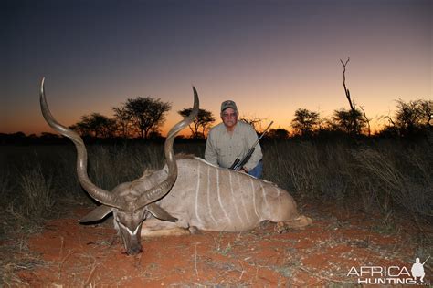 Kudu Hunt In Namibia