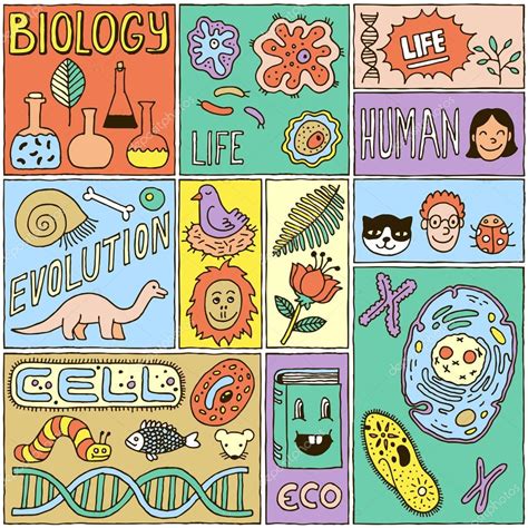 Biology Science Banners Set Stock Vector Image By ©sashatigar 77836094