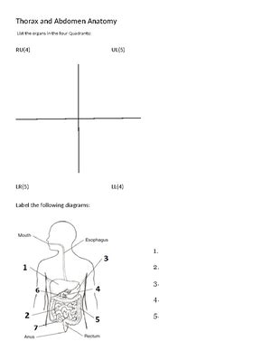 10 Digestive System Gizmo Answers Digestive System Answer Key