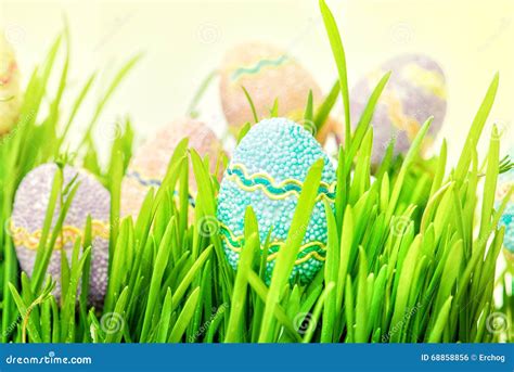 Ovos De Easter Que Escondem Na Grama Foto De Stock Imagem De Inseto