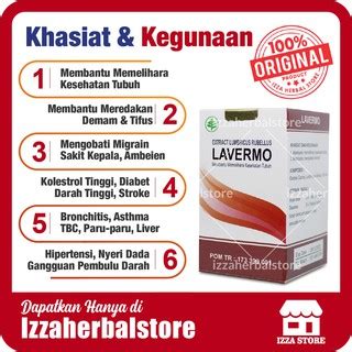 Jual KAPSUL CACING Untuk Tipes LAVERMO Asli Obat Penurun Panas Demam