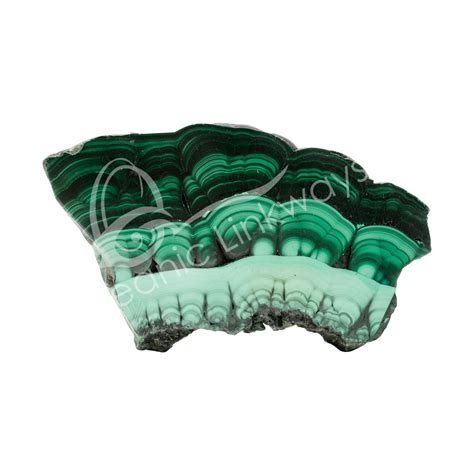 South African Malachite Slice New Jersey Oceanic Linkways Inc