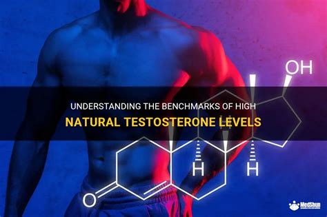 Understanding The Benchmarks Of High Natural Testosterone Levels Medshun