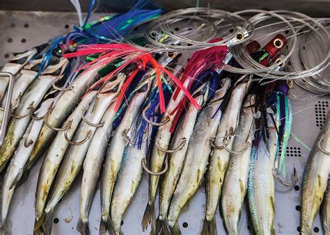 How To Catch Wahoo Anywhere Salt Water Sportsman