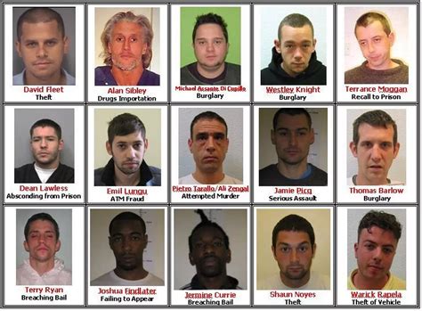 New Rogues Gallery Of Surreys Most Wanted Surrey Live