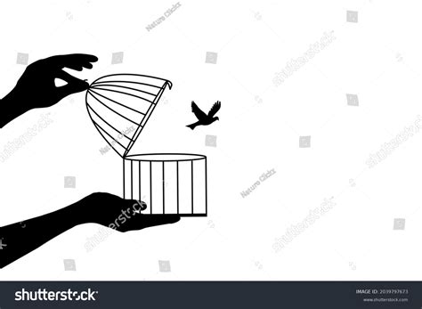 Bird Flying Out Cage Freedom Illustration Stock Illustration 2039797673 ...