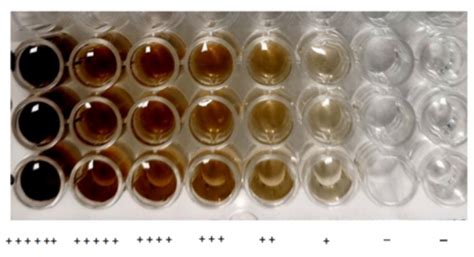 A Sensitive Visual Method For The Detection Of Hydrogen Sulfide