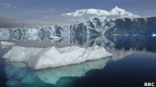 G Maior Acidez Do Mar Dissolve Concha De Criaturas Marinhas Diz