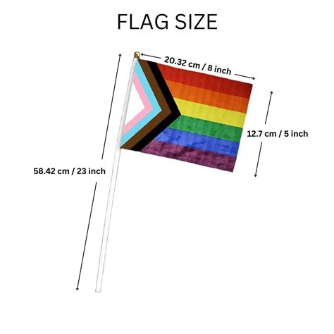 Small Progress Pride Daniel Quasar Flags On A Stick Bulk Gay Pride