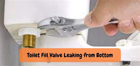 Why Toilet Fill Valve Leaking: Discovering the Reasons!