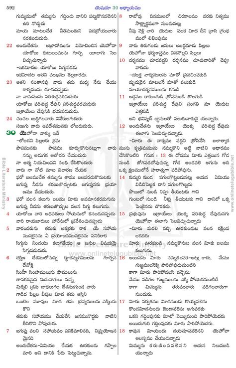 Bible Literature Ministry Telugu Bible Isaiah Chapter 30