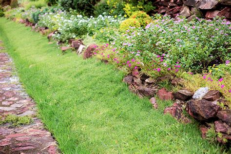 How To Incorporate Water Conservation Into Your Landscaping Design