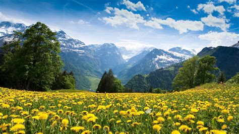 Spring Landscape, Beautiful Spring Landscape, 2560x1440, #9908