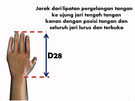 Pengukuran Antropometri Dimensi Panjang Tangan YouTube