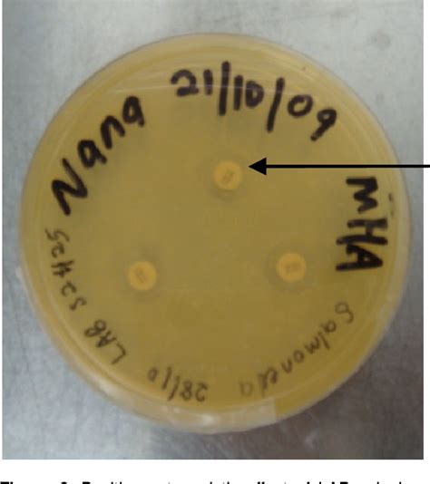 Figure 1 From Isolation And Screening Of Lactic Acid Bacteria