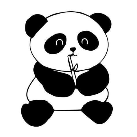 Black And White Panda