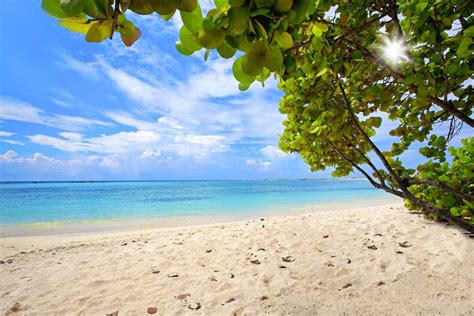 Baby Beach | 🏖️Beaches of Aruba