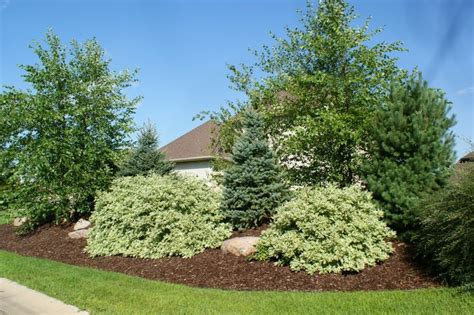 17 Best images about berm ideas on Pinterest | Gardens, Front yards and ...