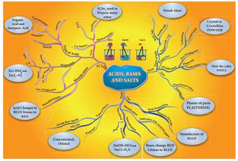 Acids Bases And Salts Introduction