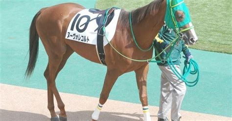 2024 4 16（火）競馬予想結果｜jra・競馬予想