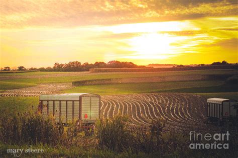 Farming at Sunset Photograph by Mary Steere