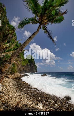 Nationalpark Von Amerikanisch Samoa Tutuila Insel Amerikanisch Samoa