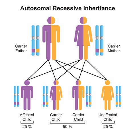 Cousin Marriage Could Be Genetically Disastrous For Offspring Here S