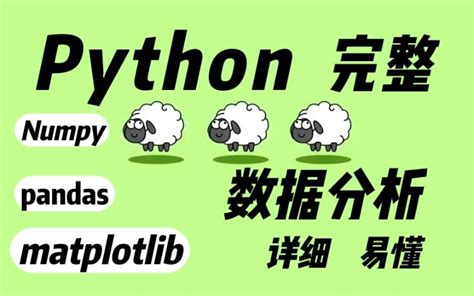 Python数据分析numpy Pandas（完整版），详细通俗易懂（视频 哔哩哔哩