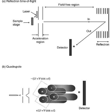 1 Schematic Diagram Of Single Stage Mass Spectrometers Built From Basic Download Scientific