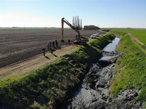 Copparo Ricca Di Reperti Archeologici Agricoltore Trova Unantica