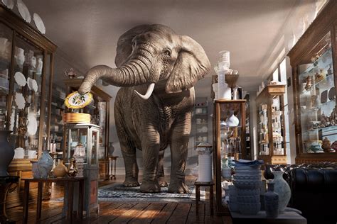 Elephant in a China Shop — Electric Art - Creative Image Production