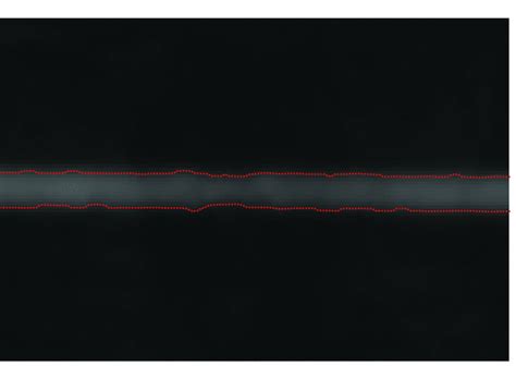 magnified view   rectangular frame  fig